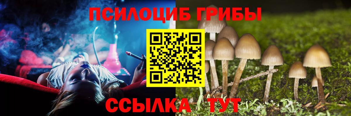 Псилоцибиновые грибы мухоморы Гай